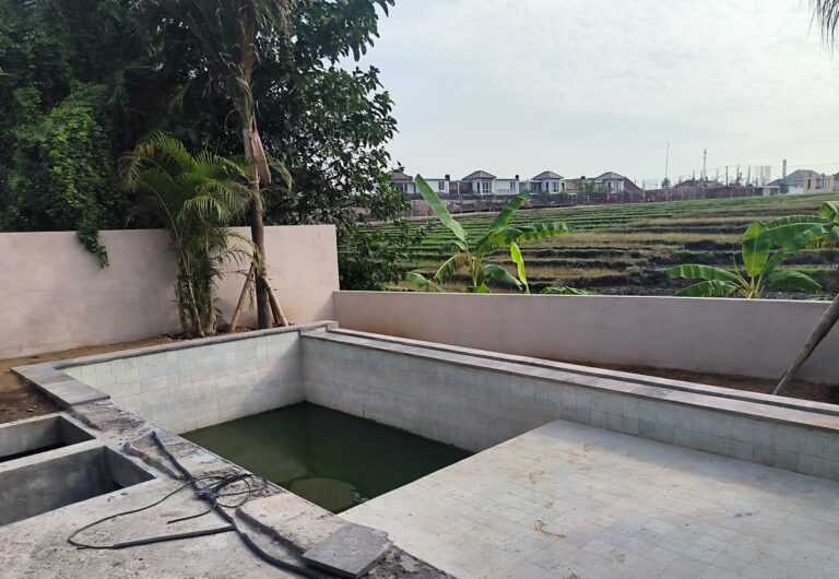 Pemandangan di belakang Rumah