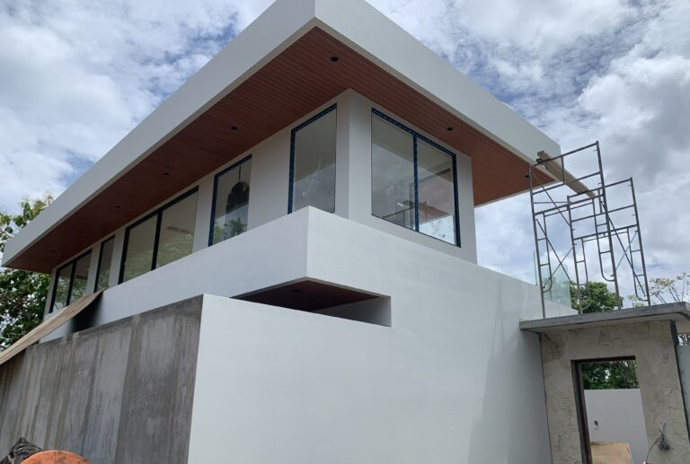 secret palm from out