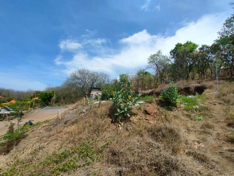 villa jake and will (1)